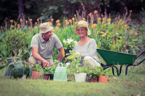A healthy tree maintained by professional services
