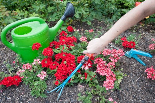 Eco-friendly tree management practices in Covent Garden