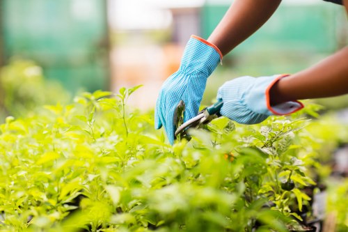 Tools and equipment for garden maintenance in Covent Garden