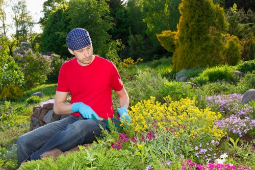 Information panel and staff assisting a visitor at a community gardening site