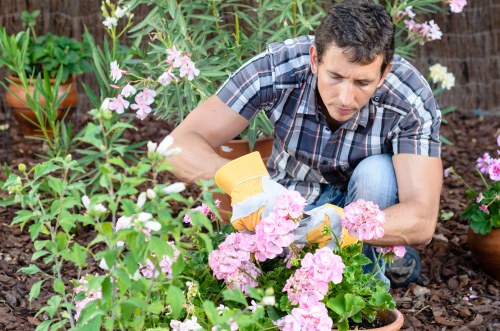 Gardener assessing a garden site for hazards